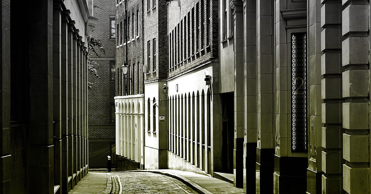 Monochrome street view showcasing vintage architecture in a narrow alleyway, creating a classic urban perspective.