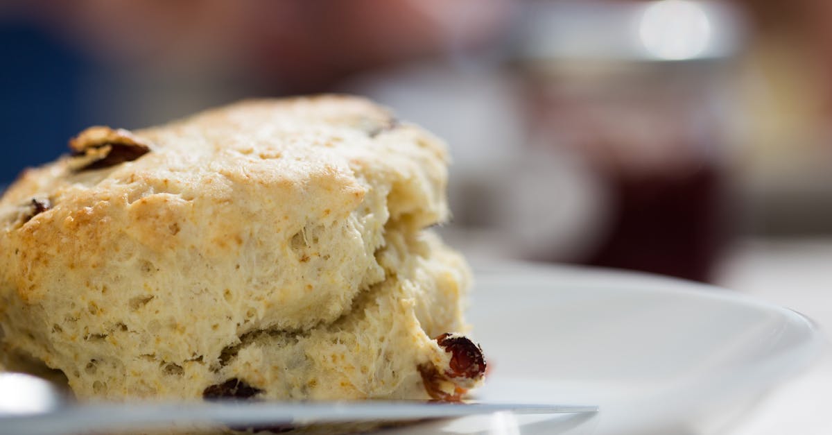Delicious close-up of a freshly baked scone with raisins on a white plate.