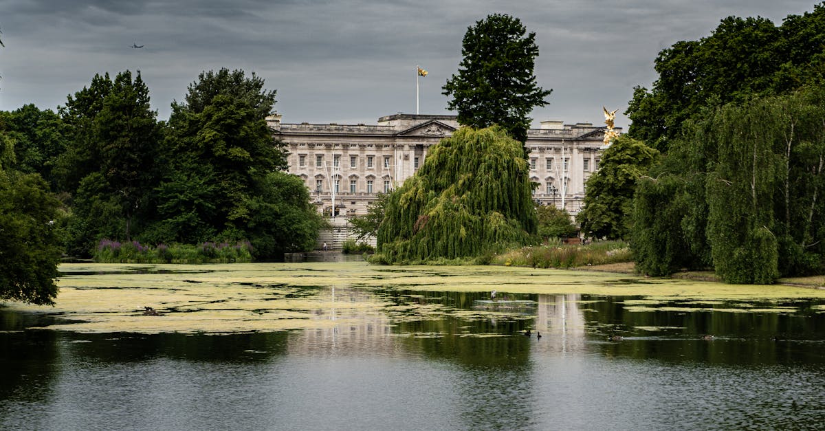 Serene view of Buckingham Palace from the lake surrounded by lush greenery in London.