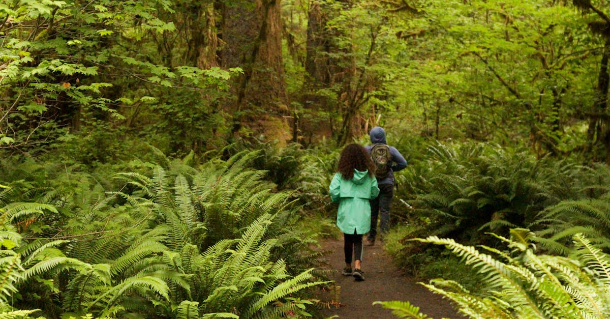 A couple enjoys a hike through a verdant forest in Forks, Washington, showcasing the beauty of nature.