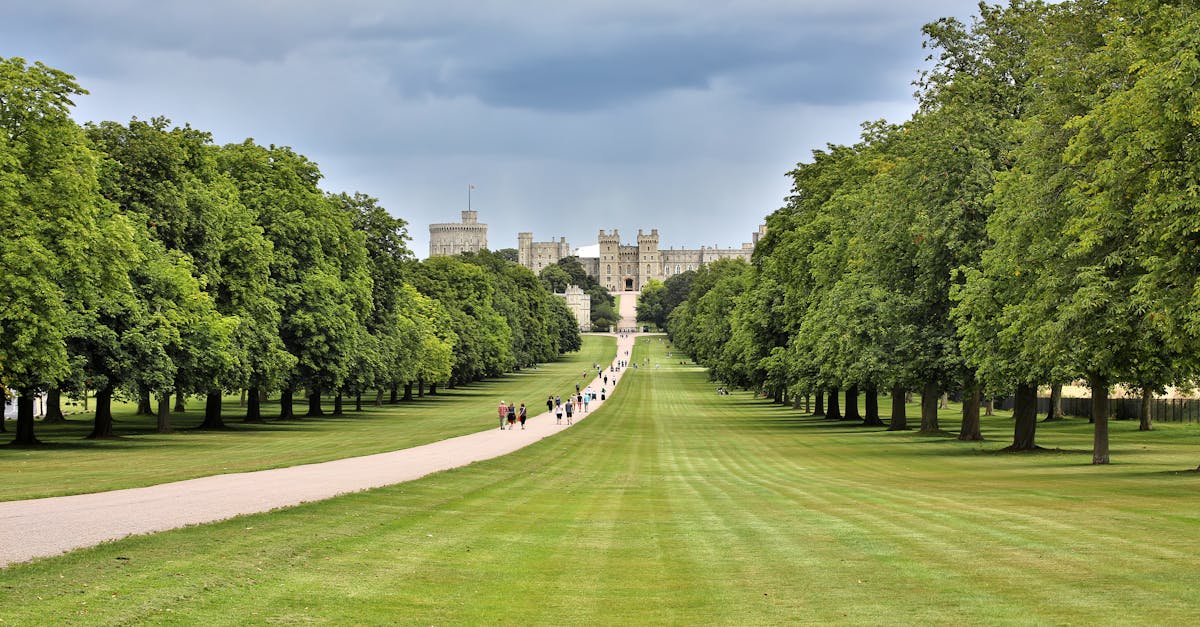 A beautiful summer view of the grand approach to Windsor Castle, surrounded by lush greenery.
