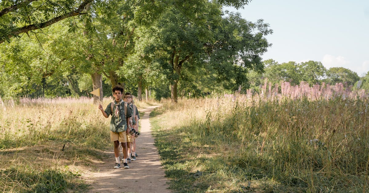 Two boys hiking on a forest trail surrounded by greenery and wildflowers on a sunny day.