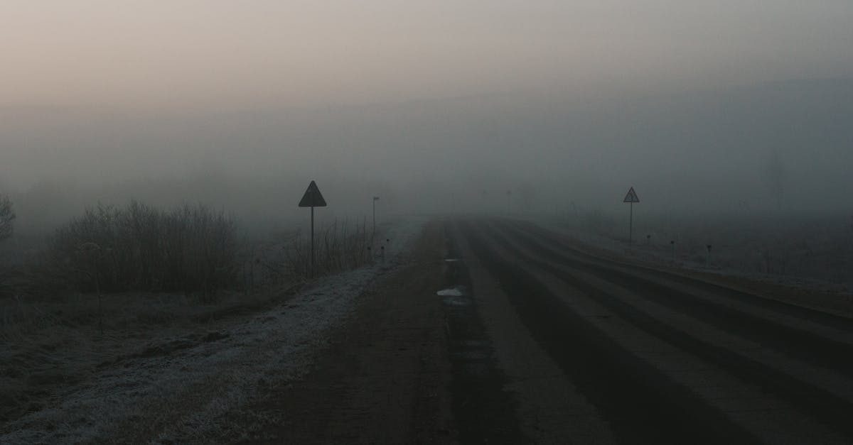 A foggy road extending into the mist during dawn, creating a serene and mysterious atmosphere.